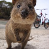 Profile picture for user bporadzisz7