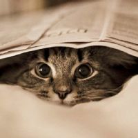 marian lizeth moreno bailon 