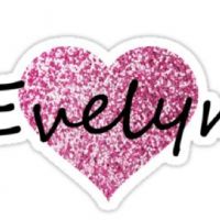 Evelyn Christina da Silva Ferreira