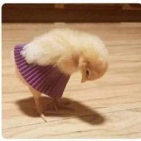 Salima Meziani Meziani