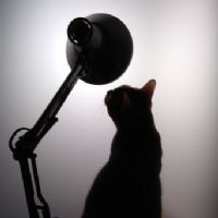 Profile picture for user MariaGryfaki