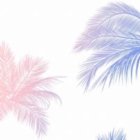 Profile picture for user WardahMH