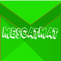 Rafael Ferrer Burgués