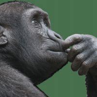 Profile picture for user morganx