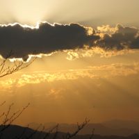 Profile picture for user NAJERIYA