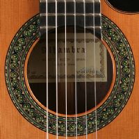 Profile picture for user SandraLV