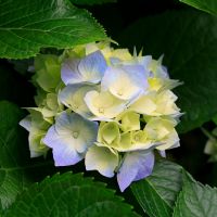 Profile picture for user sanguloroyero