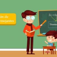 Profile picture for user eulaliamendoza14