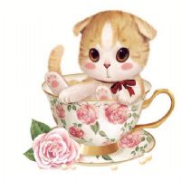 Profile picture for user afiqahmt