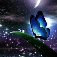 Profile picture for user preciado