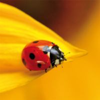 Profile picture for user mojca123