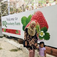 NOORZALIZA BINTI ABDUL LATIF