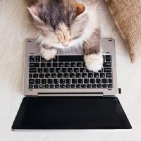 Profile picture for user faridah21