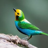 Profile picture for user Unknown_2021