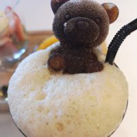 Profile picture for user xsyanchan