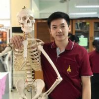 Profile picture for user thanapisit