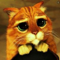 Profile picture for user TeacherMali