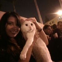 Profile picture for user MERCEDES99