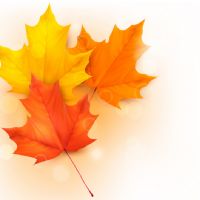 Profile picture for user Huyen1705