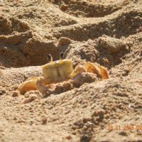 Profile picture for user vtakamatu