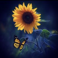 Profile picture for user Mellany_gj