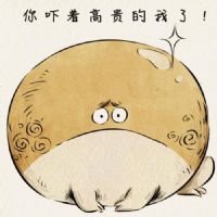 Profile picture for user lenashi