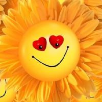 Profile picture for user maestrasorriso