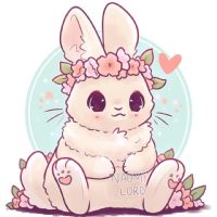 Profile picture for user tcher_Jeeva