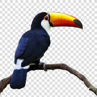 Profile picture for user MaekRebe