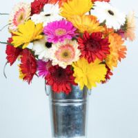 Profile picture for user safwanahaba