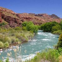 Angélica Liliana González