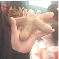 Madihah Binti haji metasan