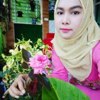 Profile picture for user Wangpol