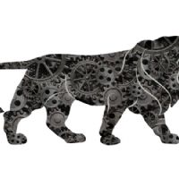 Profile picture for user DAIVIK_TIWARI