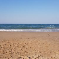 Profile picture for user idelgadocaro