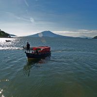 Profile picture for user hdoradea