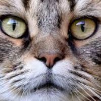 isabel dolores zumba yepez