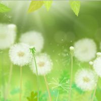 Profile picture for user ni1990