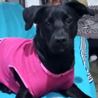 Profile picture for user Jane_11