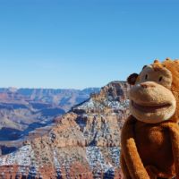 Profile picture for user estherortegag