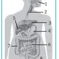 Profile picture for user wandanafisah18