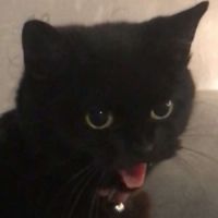 Profile picture for user zadhse