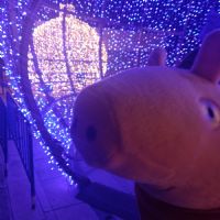 Profile picture for user ALITALOXA