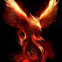 Profile picture for user inna0411