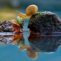 Profile picture for user Phucle