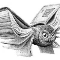 Daniela de la madrid