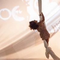 Profile picture for user maiajuan