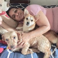 Profile picture for user Cxndy2495