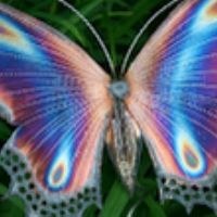 Profile picture for user valeriaceri