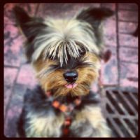 Raúl Martín González